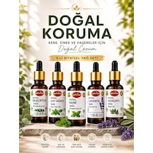 Kene, Sinek, Sivri Sinek, Haşereler İçin Doğal Koruma Okaliptüs, Çay Ağacı, Nane, Lavanta, Adaçayı Yağ Seti 5x20 Ml 100 ML