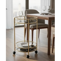 Pnl-fs03 Panalı Tekerlekli Servis Sehpası 69 X 38 Cm Gold - Siyah