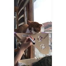 Büyük Boy Ahşap Yapışan Kedi Yatağı Vantuzlu Açık Bej