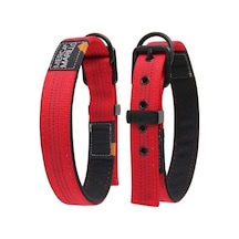 Nunbell Yumuşak Doku Köpek Boyun Tasması 2 Mm Çok Renkli