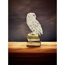 Luxxi Kitap Üstünde Kar Baykuşu Veronese - Ofis Ve Hediyelik Masaüstü Dekorotif Ürünler Ve Aksesuarl