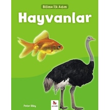 Hayvanlar-Bilime İlk Adım - Peter Riley - Almidilli
