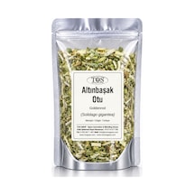 Altınbaşak Otu 250 gr (1. Kalite) Solidago gigantea / Goldenrod