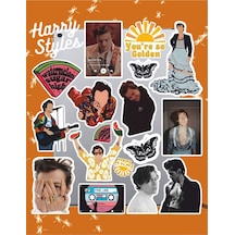 Harry Styles Sticker Seti Laptop Ajanda Notebook Tablet Telefon Defter Etiket Bullet Journal Diğer