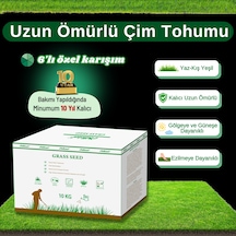 Ebitkisel Çok Yıllık Çim Tohumu 10 Kg Uzun Ömürlü 6'lı Karışım