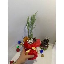 Yılbaşı Hediyesi Mini Boy Yılbaşı Ağacı Süslemeli Portakal+kozalak Dahildir15-30cm