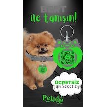 Petjoo 13.Bert Yeşil-Gri Qr'lı Köpek Künyesi