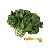 Ispanak Tohumu 25 GR Paket