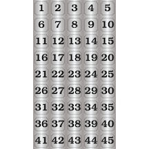 1-45 Kapı, Masa, Dolap Numarası Gümüş Metal Etiket 7x7 Cm