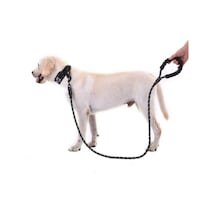 Süslüpati Reflektörlü Köpek Tasması Siyah 130 CM Siyah