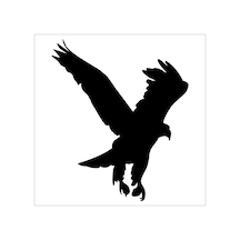 Kartal Folyo Sticker Derstv747 60cm Uzunluk Siyah