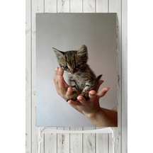 Kedi Hayvan Posteri 4