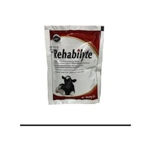Rehablyte 100 Gr