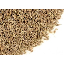 Botanik Sağlık Tane Rezene 100 G