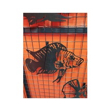Calvus Işıklı 50cm