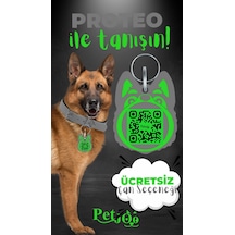 Petjoo 24.Proteo Yeşil-Gri Qr'lı Köpek Künyesi