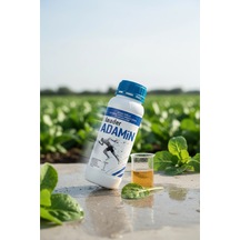 1 L