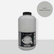 Cadence Hibrit Multisurface 2 Lt H-073 Solgun Kil Grisi 3 Kg