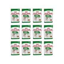 Mini Adult Köpek Yaş Mama 85 Gr 12 Adet