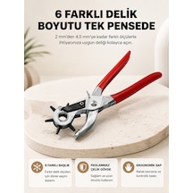 Delme Pensesi 6 Başlıklı Çok Amaçlı Paslanmaz Çelik Ergonomik - Lisinya Çok Renkli