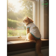 Beyaz The Patron Yazılı Kedi Ve Köpek Kıyafeti Tişörtü Elbisesi Large/l/beden 3