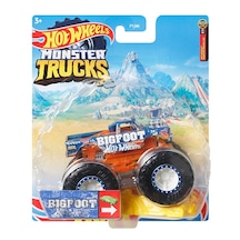 Hot Wheels 1:64 Monster Trucks Arabalar HHG72