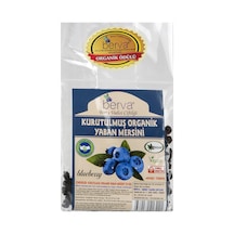 Berva Kurutuluş Organik Yaban Mersini 50 Gr