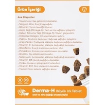 Derma H Plus/deri Ve Tüy Sağlığı Destekleyici Premium Tablet 60 Adet/120gr