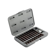 Nalburkent Rico Manyetik Kaplamalı Delikli Torx Bits Set 19 Parça Kk0003