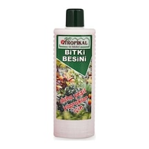 Tropikal Besin Bitkisi 6 Adet