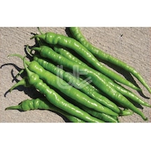 Yerli Demre Biber Tohumu 10 GR Takribi 1200 Ad Tohum N112796