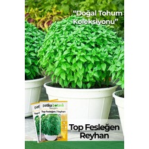 Patika Botanik 100 Adet Top Fesleğen - Top Reyhan Ocimum Basilicum Çiçek Tohumu