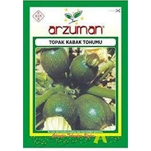 1 Paket Tohum Organik Hasat Topak Yeşil Kabak Tohumu Dolmalık 10g