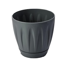 Omnipazar So-p001 Papatya Saksı Takım 0,7 Litre No 1 64240376