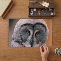Yakın Çekim Peçeli Baykuş Tasarımı 240 Parça Ahşap Puzzle Ahşap Kutuda Mpy50303