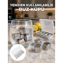 Hızlı Soğutma Özellikli Paslanmaz Metal Buz Küpü Takımı Yeni Nesil Diğer