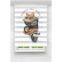 Perdeoutlet38 Baskılı Renkli Motorcu Kedi1 Dijital Baskılı Zebra Perde-cocuk Odası-stor Perde Model:pz-2583 Çok Renkli