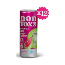 Nontoxx Guava & Kivi Aromalı, Sirkeli, Gazlı İçecek 250 Ml