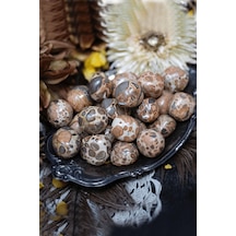 Riyolit Taşı Kütle Leopardite