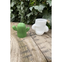 Rufus Concept Saguaro Kaktüs Mum Kalıbı Silikon Çok Renkli