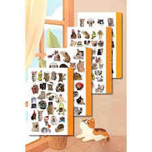 Cat Collection Sticker Seti, Ajanda Ve Günlük İçin, Kendinden Yapışkanlı, 10x20 Cm, 4'lü Set, P 1