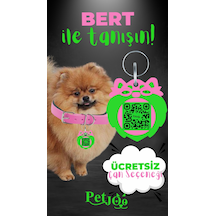 Petjoo 13.Bert Yeşil-Pembe Qr'lı Köpek Künyesi