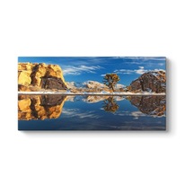 Göl Tablosu 160 X 80 -