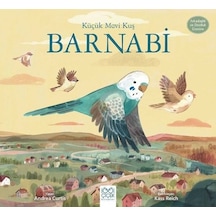 Küçük Mavi Kuş Barnabi - Arkadaşlık ve Dostluk Üzerine - Andrea Curtis - 1001 Çiçek