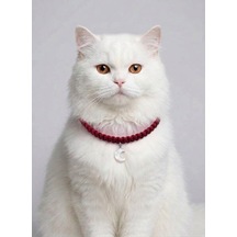 Kırmızı El Örgüsü Makrome Kedi Tasması 27 Cm - Ay Figürlü Charm Şık Kedi Boyun Tasması