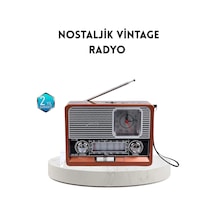 Dekoratif Vintage Radyo Klasik Görünüm, Modern Fonksiyon Ve Uzun Ömürlü Kullanım