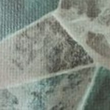 Pool Liner