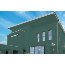 Jotun Classic Green 6243 Dış Cephe Jotashield Tex Ultra Serisi