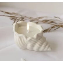 Bernami Mumluk Şamdanpinterest 1 Li Set Istiridye Midye Deniz Kabugu Mumsuz Beton Ham 1 Adet Boyasız Diğer