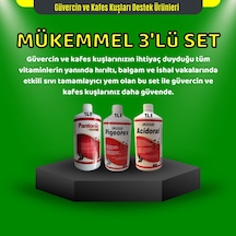 Royal İlaç Güvercin Ve Kafes Kuşları İçin 1 Lt Mükemmel Üçlü Set Acidoral+pigeorex+pantonic